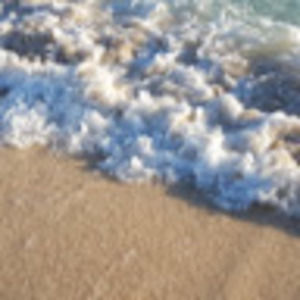 Meet your Posher, Meredith